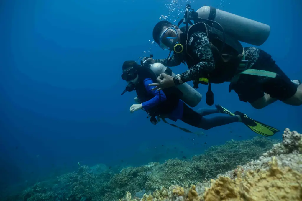 Khoá học bình khí cơ bản