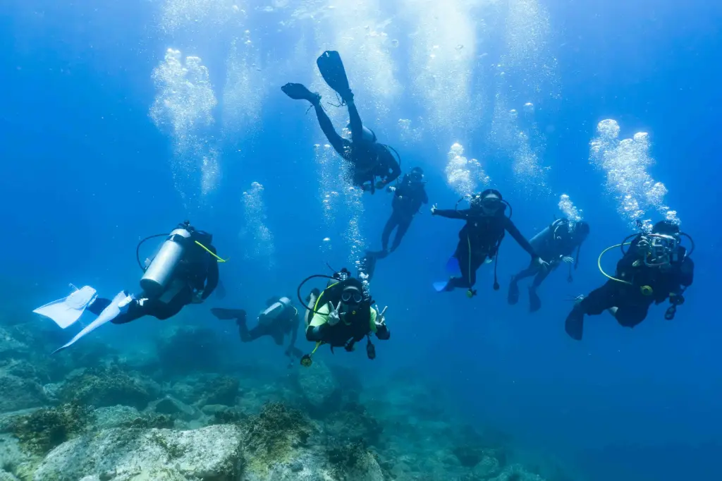 고급 모험가 코스(AA)