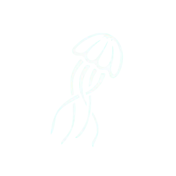 Lặn biển Nha Trang - Phú Quốc | Jellydiver